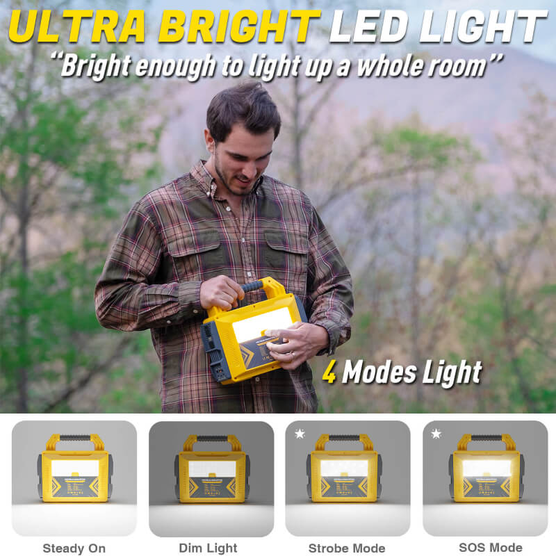 home backup power-lipower